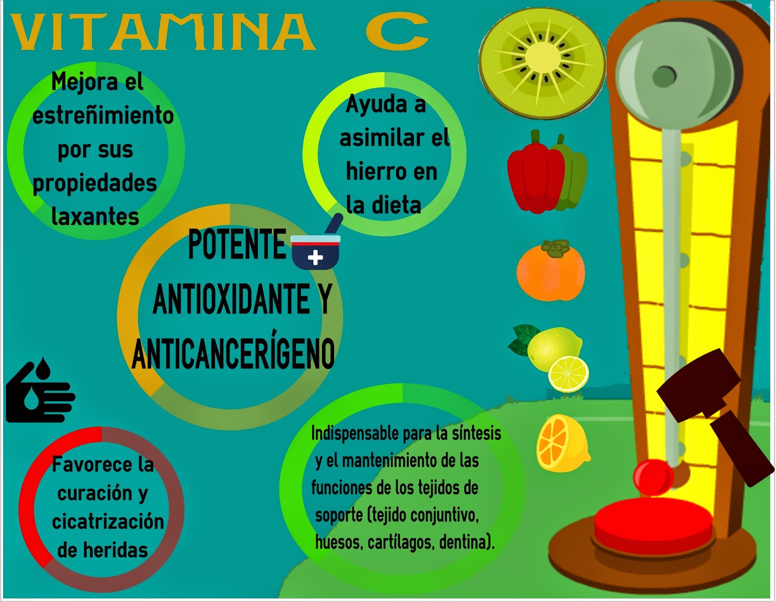 alimentos con m s vitamina c cuaderno de salud y diet 233 tica infograf 237 a vitamina c alimentos con m s vitamina c cuaderno de salud y diet 233 tica infograf 237 a vitamina c