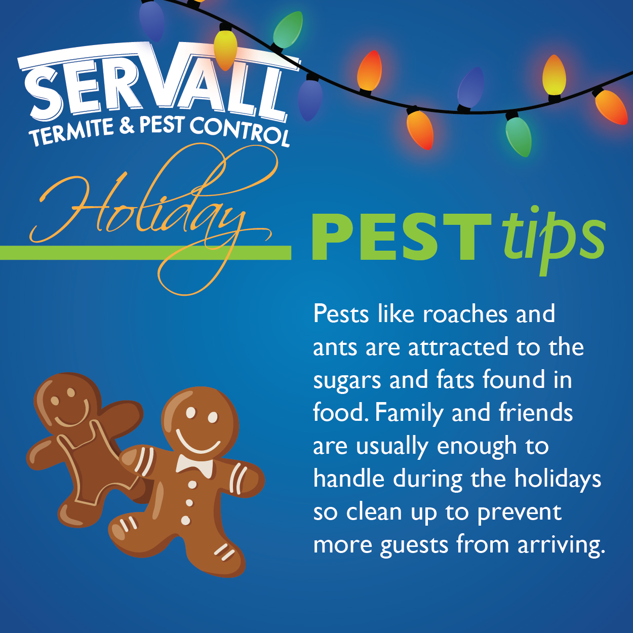 Servall Pest Control Holiday Pest Tip