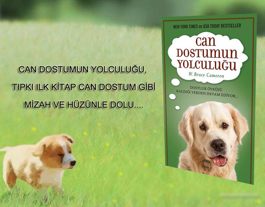 Siyahyuzgec Dort Patili Bakis Acisiyla Can Dostum Kitap Yorumum