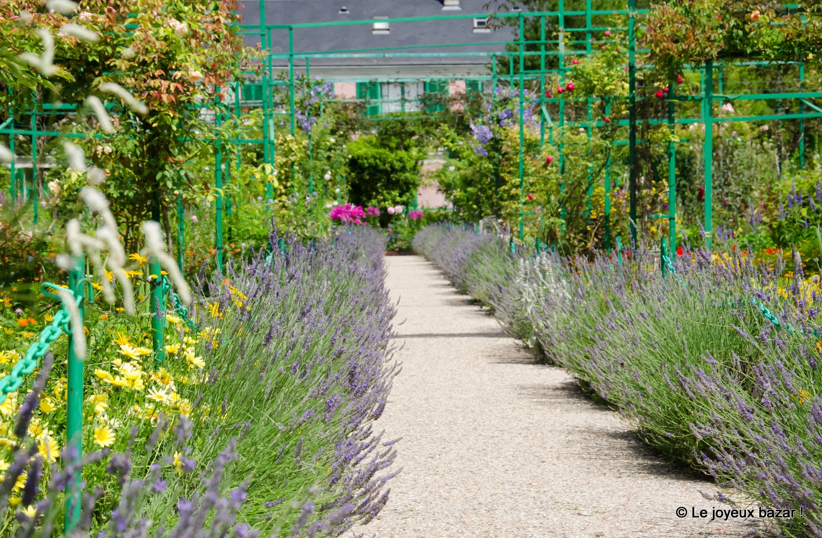 Giverny - maison de Monet - jardin