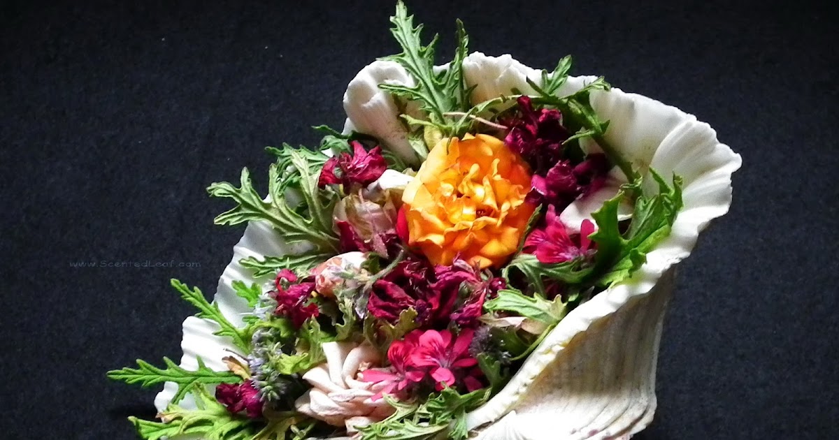 Scented Leaf Scented Potpourri using a Dehydrator