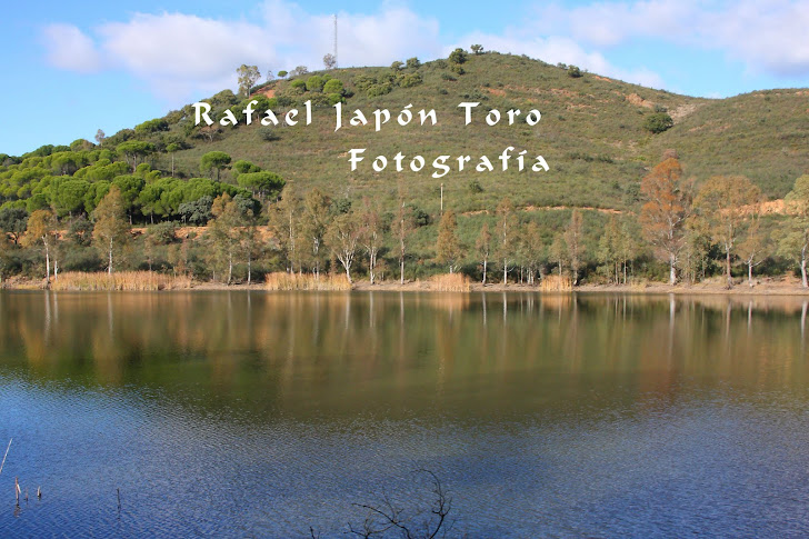 Rafael Japón Toro   Fotografias