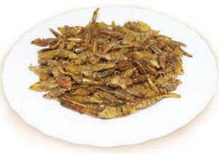 a97582 edible winged termites 500x352 11 Serangga Lezat yang Bisa Dimakan