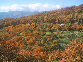 OTOÑADA 2013: actividades fin de semana 22, 23 y 24 de noviembre