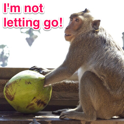 monkey go let monkeys trapped coconut his learn food overthinking everything