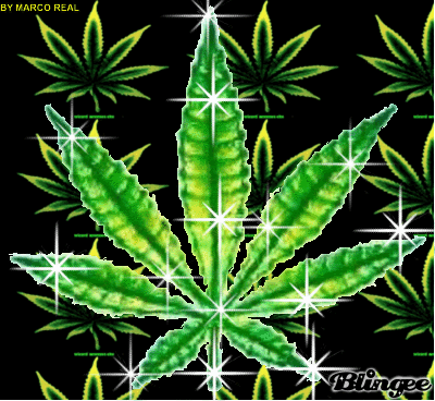 Imagenes De Mota | image gallery mota dibujos Imagenes De Mota | image gallery mota dibujos
