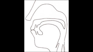 Voiceless glottal fricative