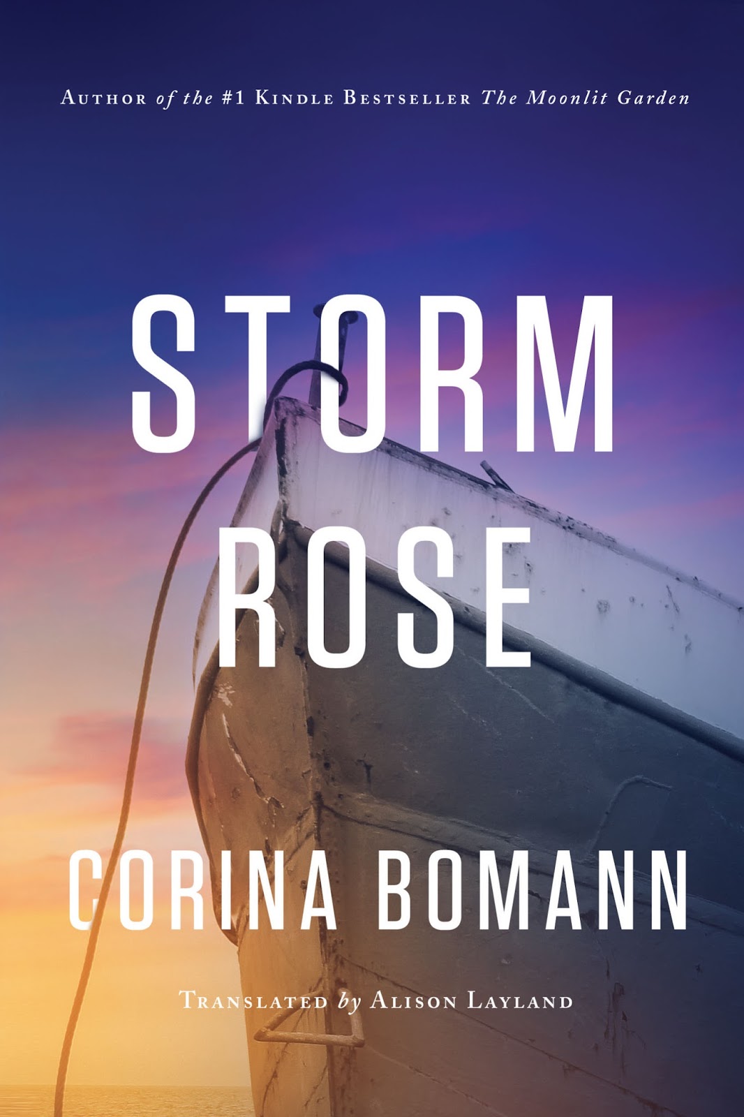Stormy rose