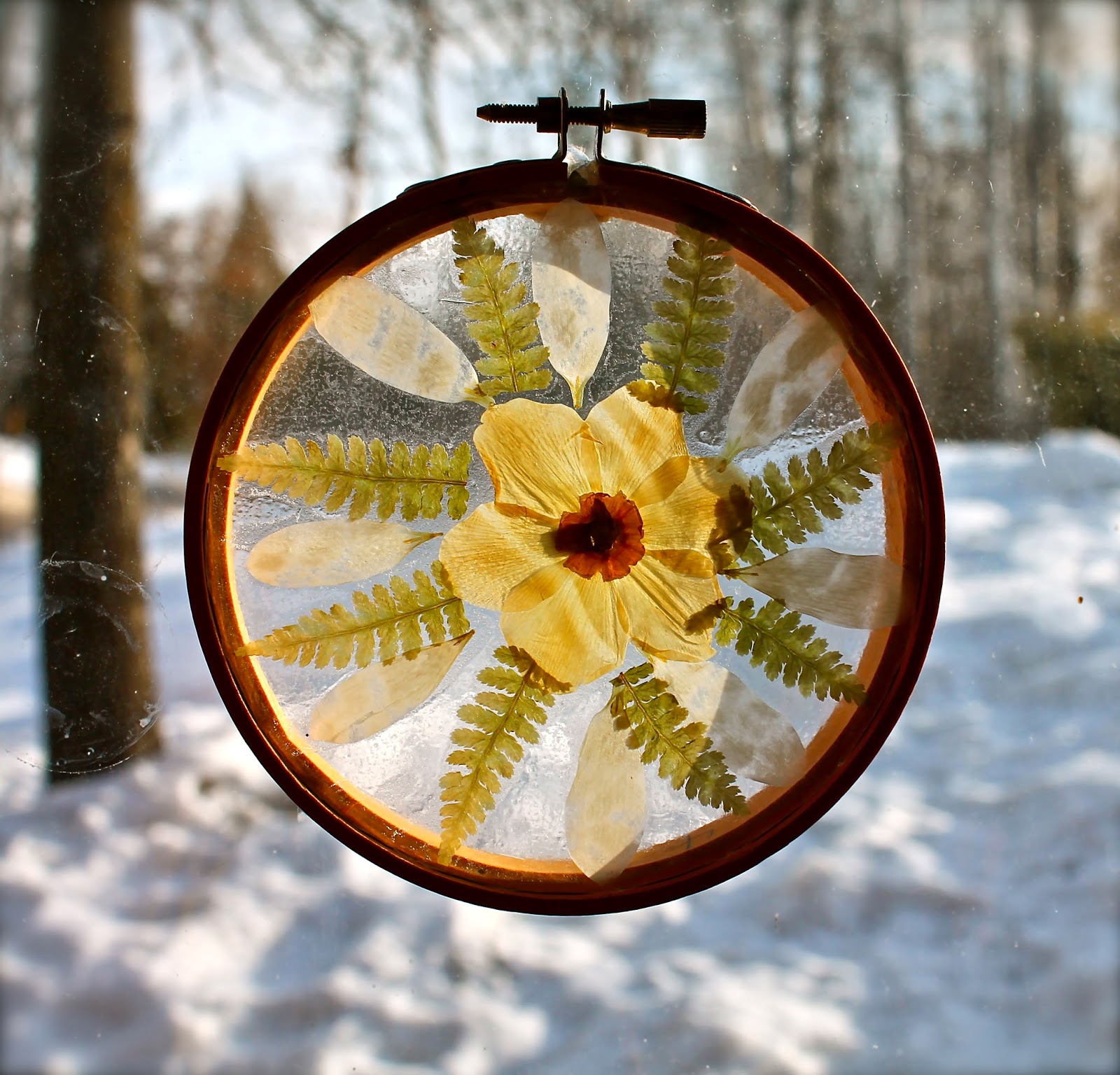 Twig and Toadstool Mandala Sun Catchers