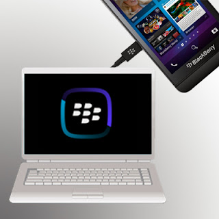 Connect BlackBerry Link