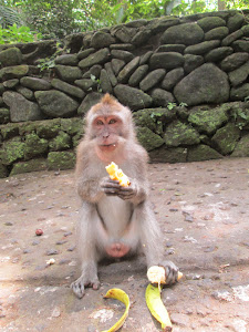In " Sacred monkey forest Of Ubud.