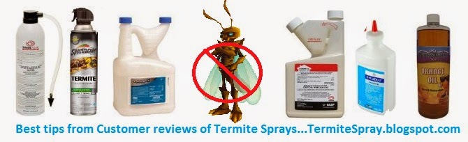 Termite Spray Reviews