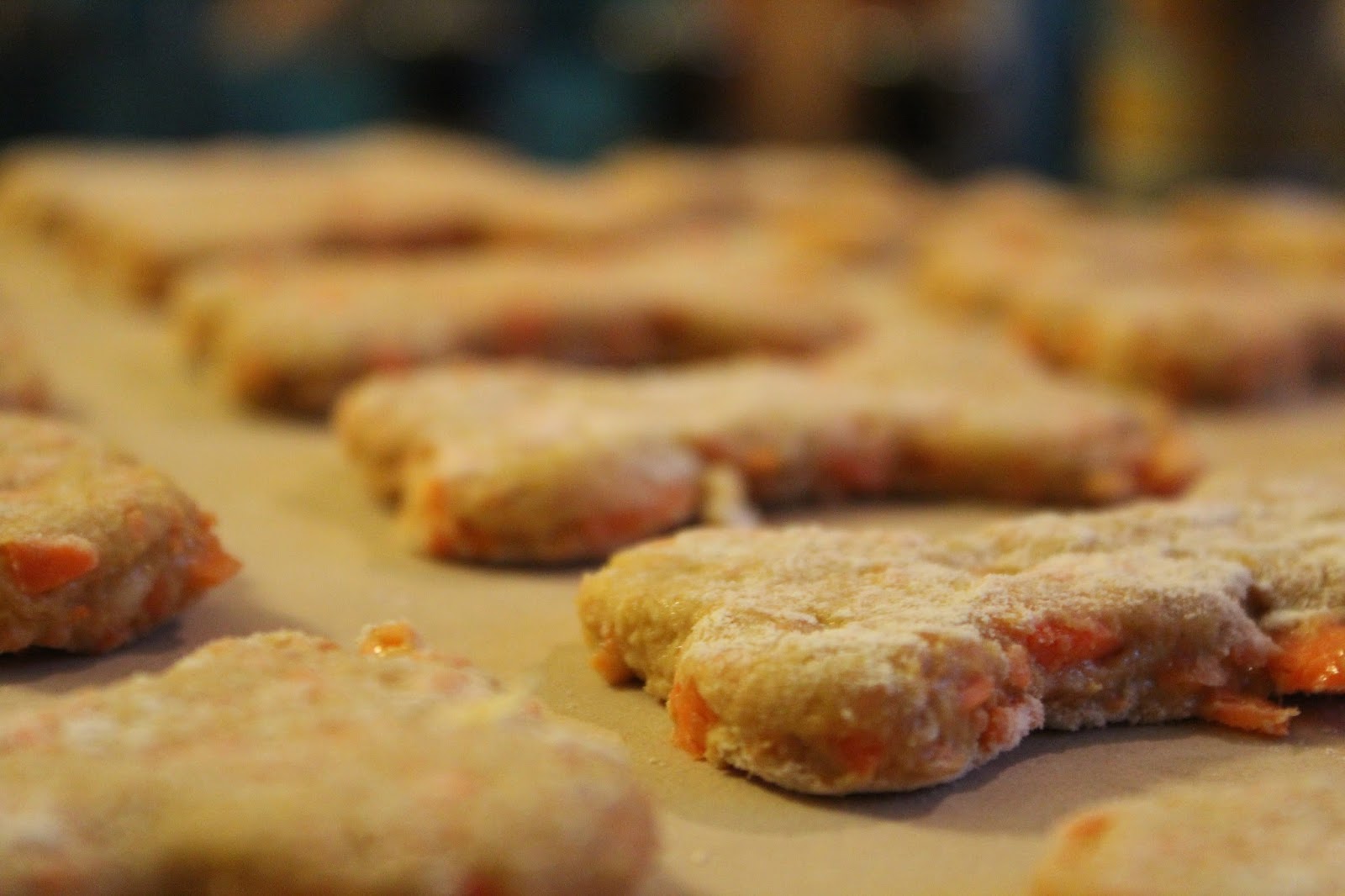 Taking Notes...Coast to Coast DIY All Natural Carrot & Banana Dog Treats
