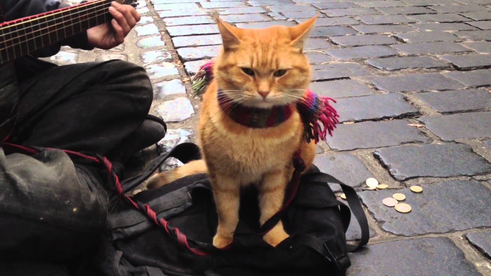 A Street Cat Named Bob Movie Review