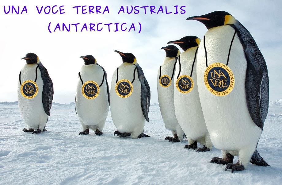 Una Voce Terra Australis - Antarctica