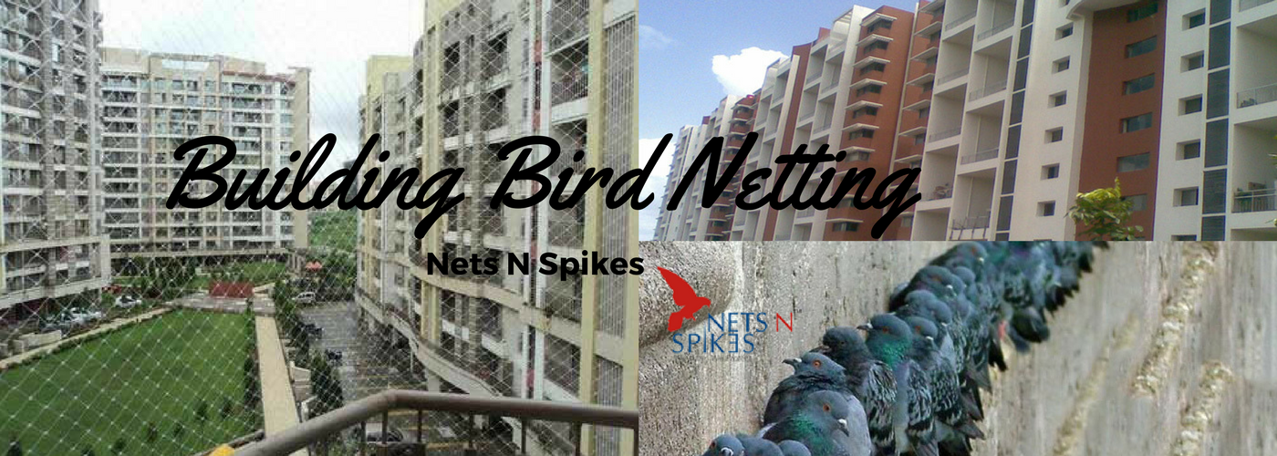 Building Bird Netting leader of India : Nets N Spikes