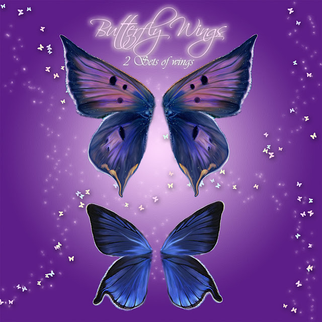 wings of a butterfly guitar cover