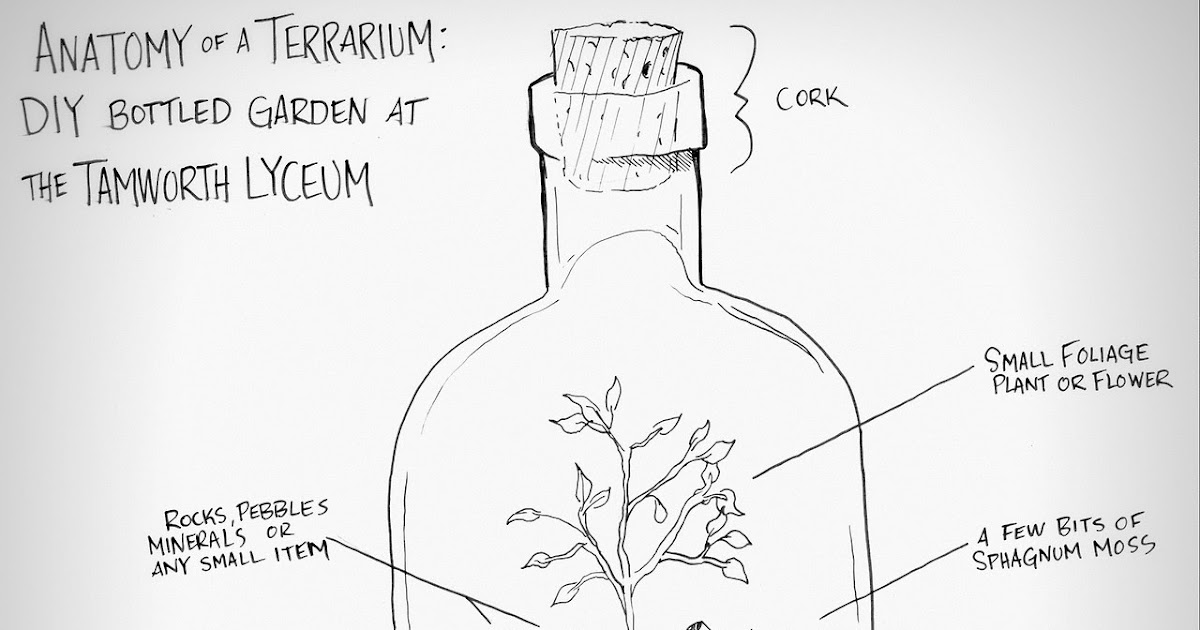 Terrarium Layers Diagram