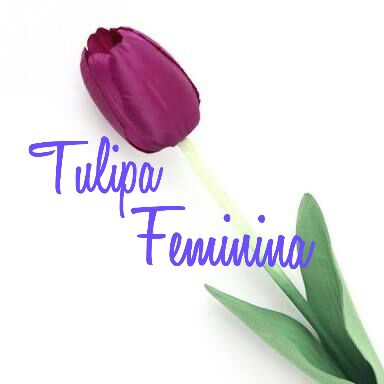 Tulipa Feminina