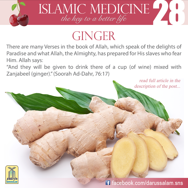 GINGER ( Islamic Medicine ) Best Right Way
