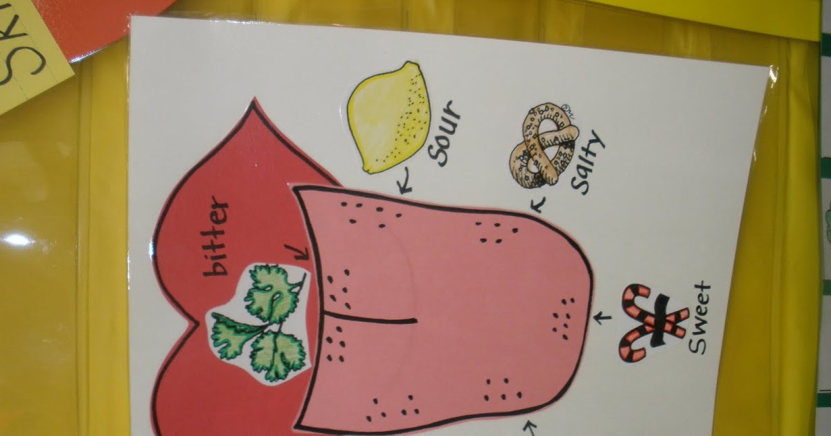 The Art of Teaching: A Kindergarten Blog: 5 Senses: Taste