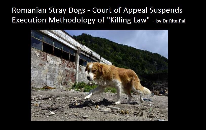 Romanian Stray Dogs Court of Appeal Suspends Execution Methodology of