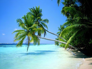 Calma chicha Caribe+playa