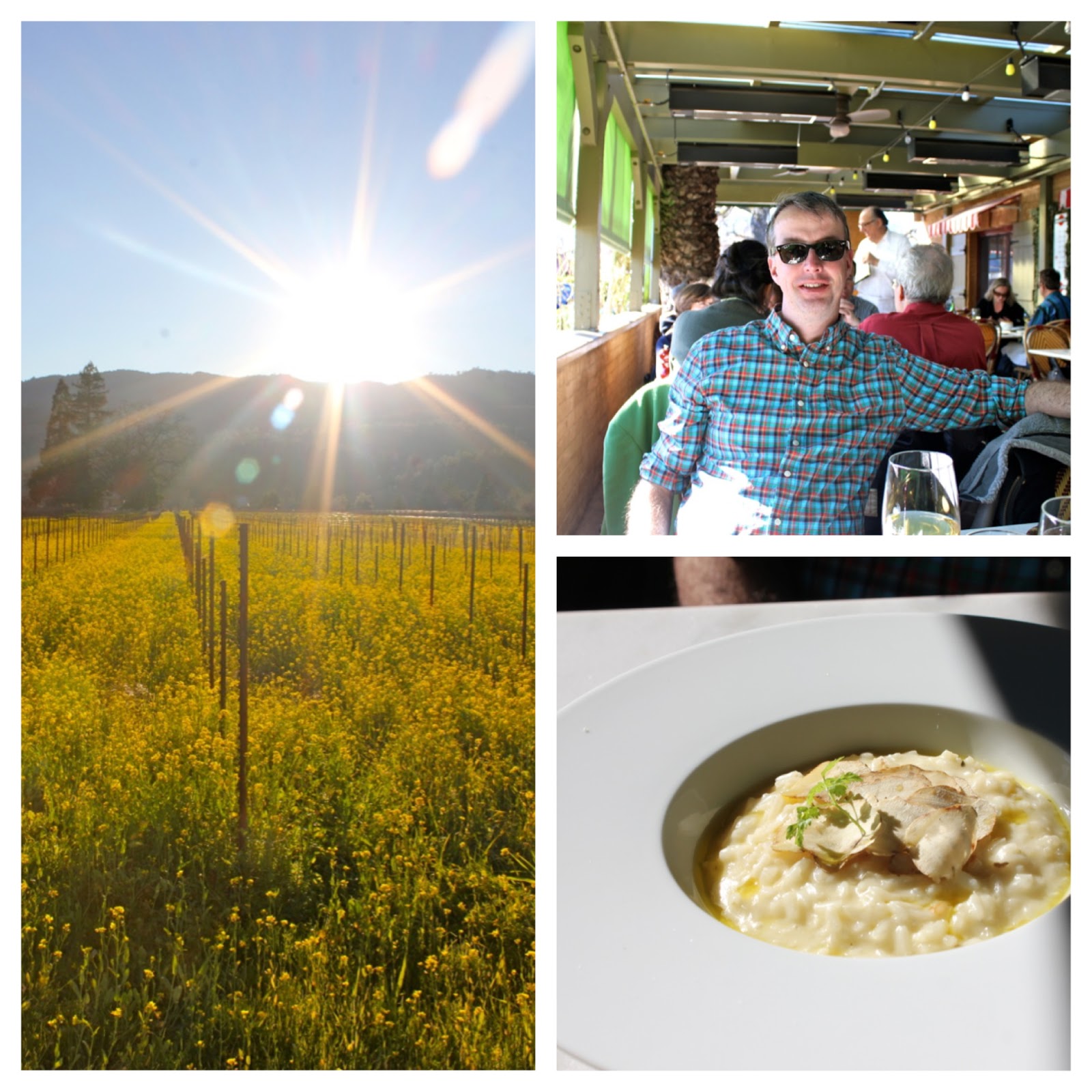 Cardigans and Couture Napa Valley Vaca