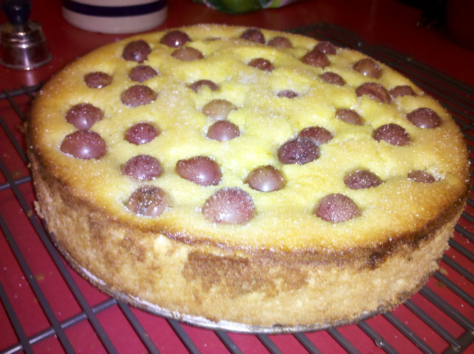 Olive Oil and Red Grape Cake