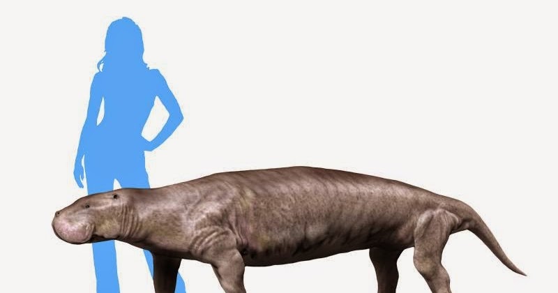 Spinops Pezosiren portelli