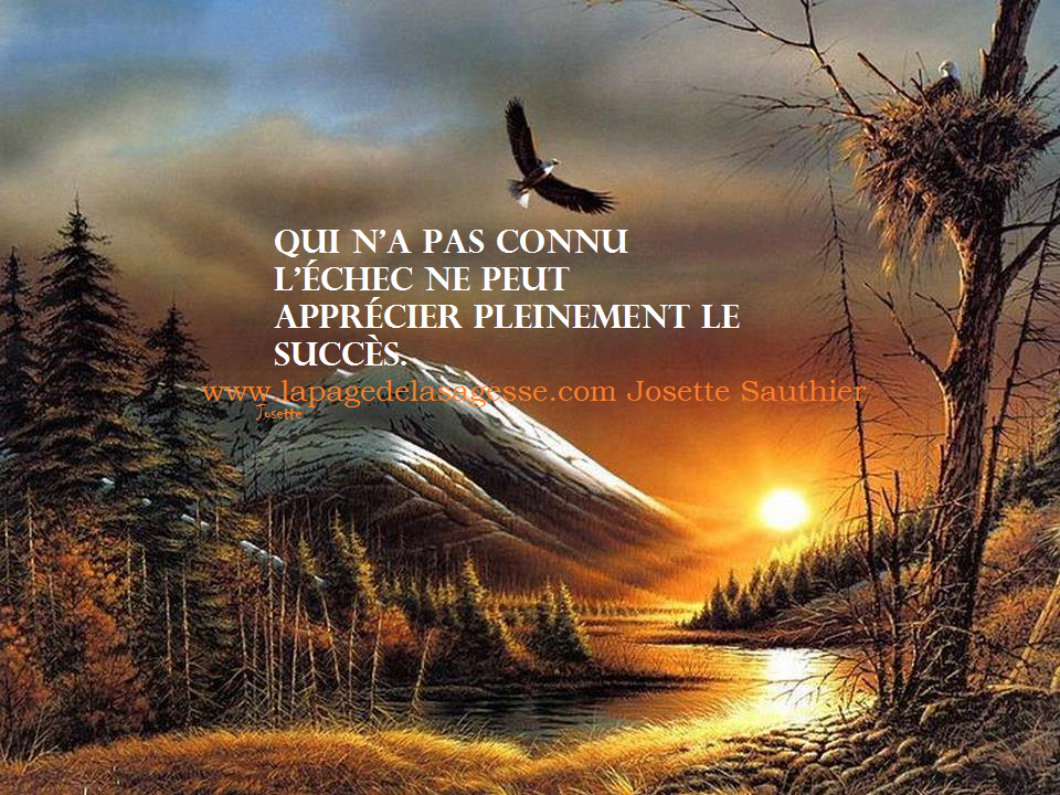 La Page de la Sagesse Citation sur l�échec La Page de la Sagesse Citation sur l�échec