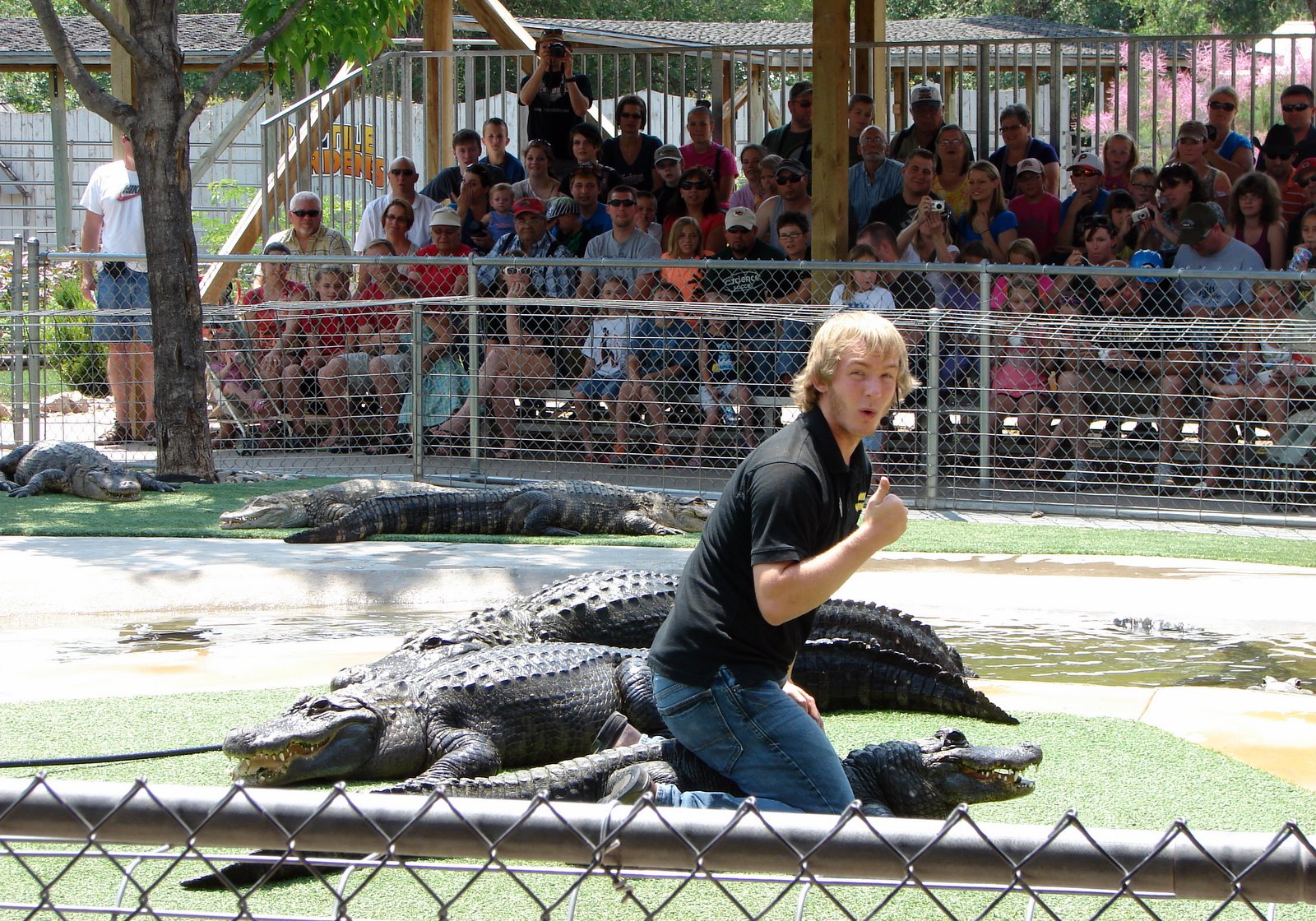 Rving And Travels Adventures With Suzanne And Brad Reptile