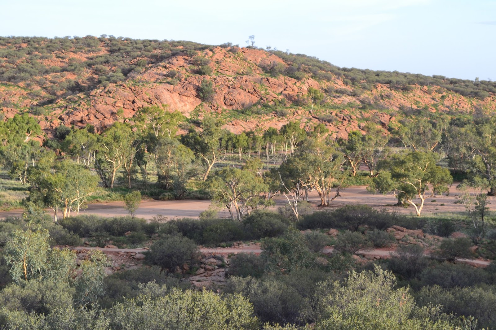 Goin' Feral One Day At A Time Bradshaw Walk, Alice Springs Telegraph