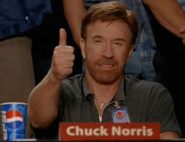 Chuck Norris aprova esse blog
