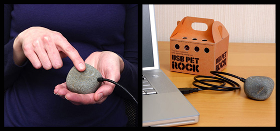 RetroGeeker: Pet Rock: Now With USB