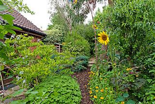 garden design & planting