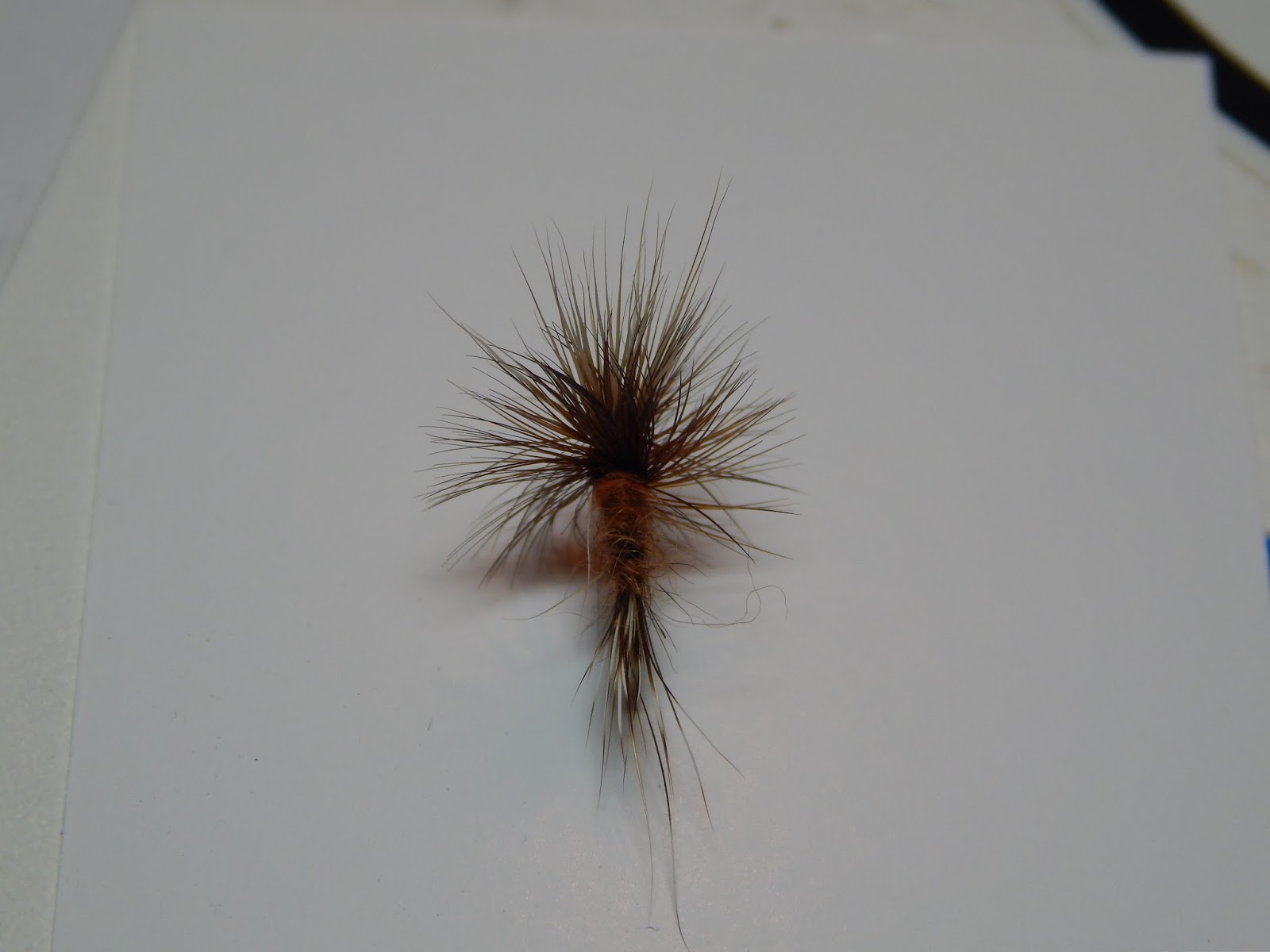 Small Stream Reflections "Crowningshield" a Hair Wing Dry Fly