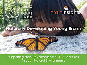 Naturally Developing Young Brains!  -- www.BrainInsightsonline.com