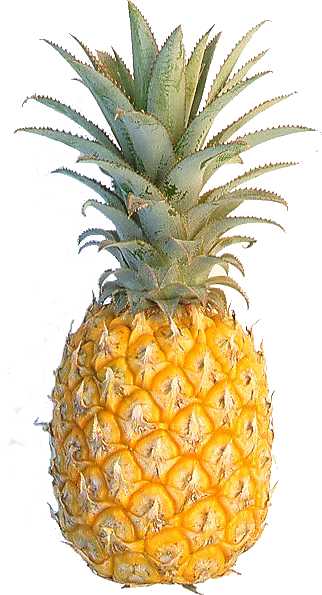food pineapple