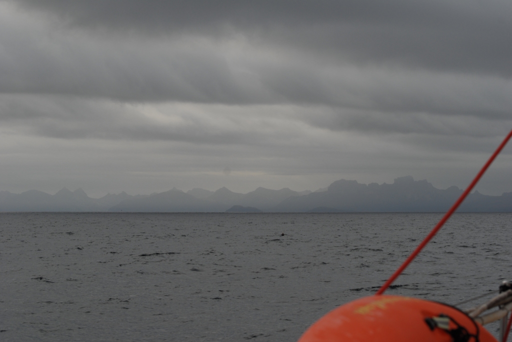 SantanA Roaring Forties, Furious Fifties.....