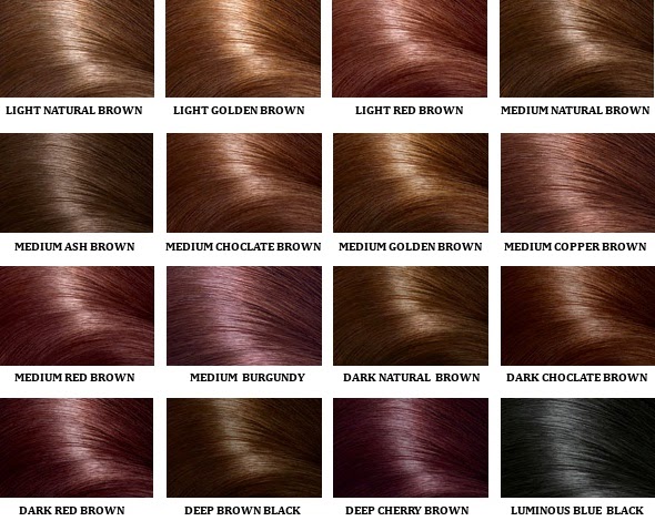 Chandra Chen Yee Blog Trends Hair Color 2014