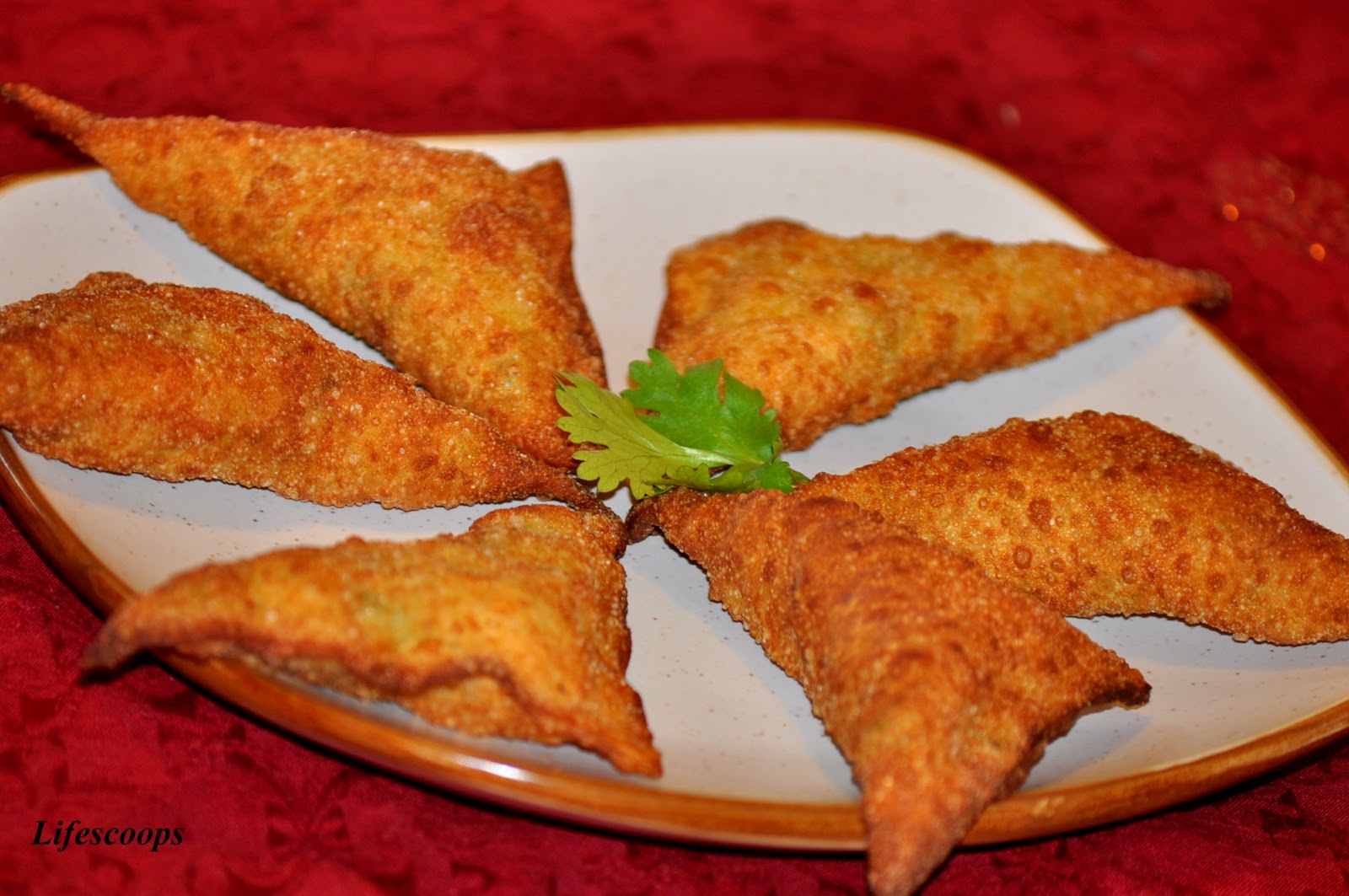 Life Scoops: Super quick and easy Samosa (Indian fried Won ton)