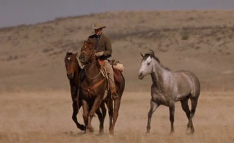 john grady all the pretty horses john grady all the pretty horses