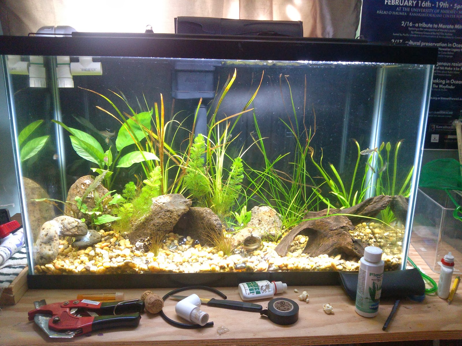 Aquarium Sump