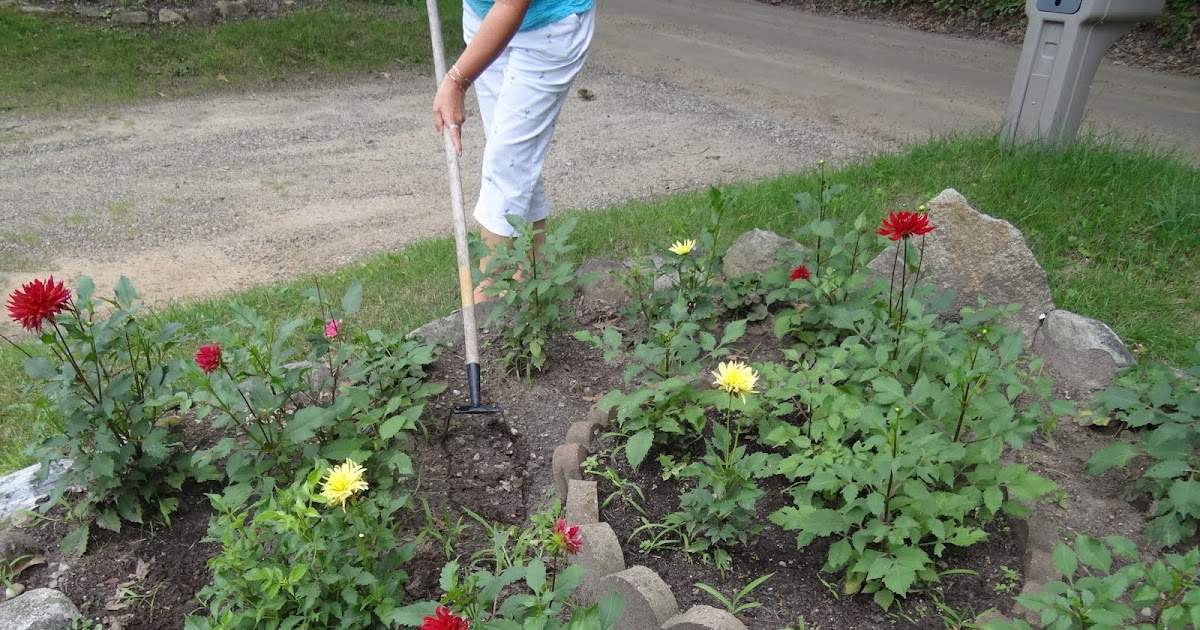 Family A Recipe for Life Today's Gadget Hula Ho Weeder