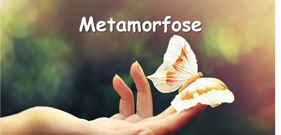 "METAMORFOSE"