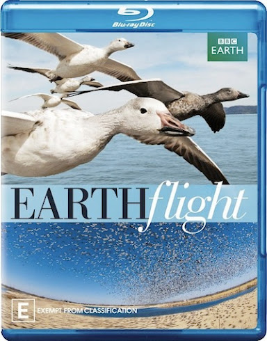 EARTH flight-HD