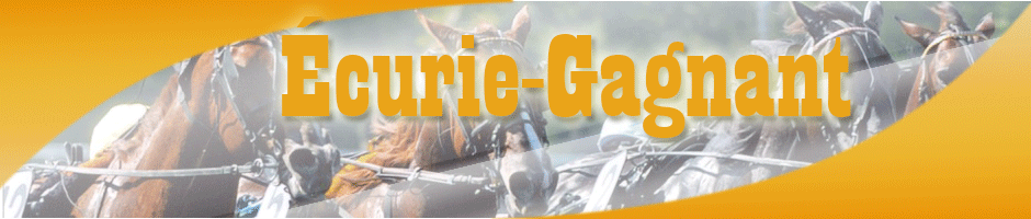 Ecurie-gagnant