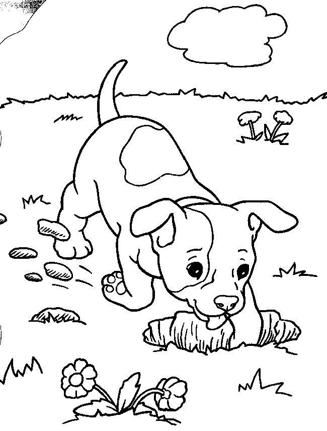 best coloring page dog: Dogs and Puppies Coloring Pages~Free!